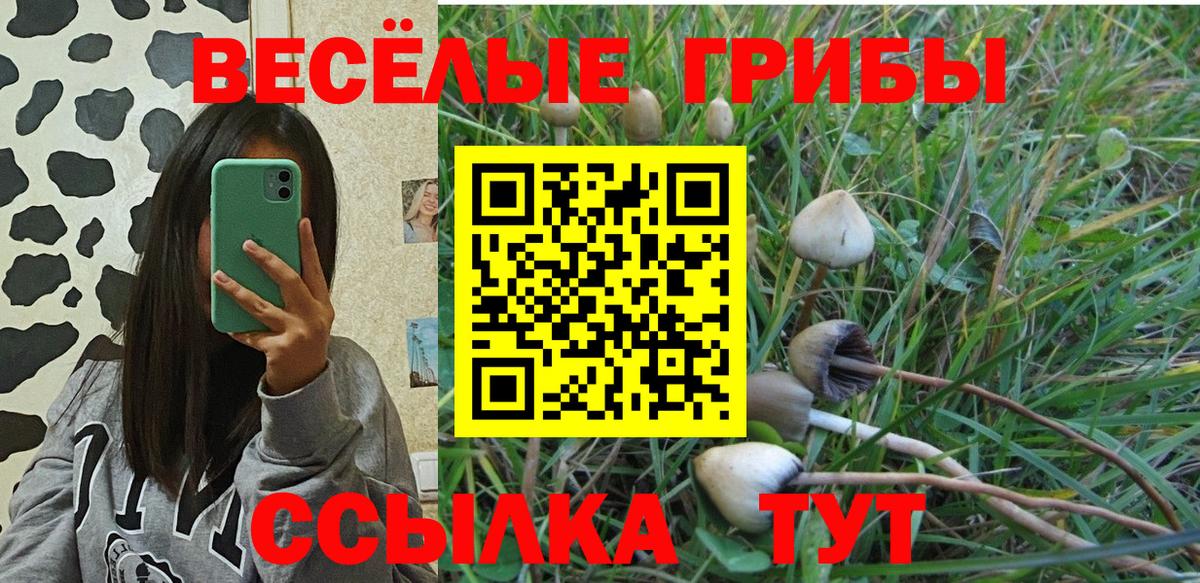 Псилоцибиновые грибы ЛСД  закладки  Вход с VPN  Губкин  Псилоцибиновые грибы ЛСД 